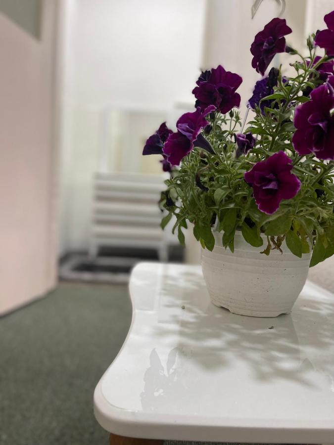 Apartment-Rubin Priştine Dış mekan fotoğraf